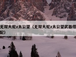 无双大蛇z太公望（无双大蛇z太公望武器搭配）