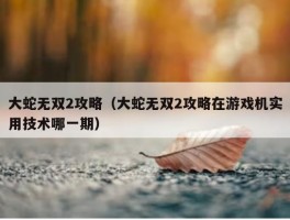 大蛇无双2攻略（大蛇无双2攻略在游戏机实用技术哪一期）