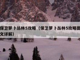 保卫萝卜丛林5攻略（保卫萝卜丛林5攻略图文详解）