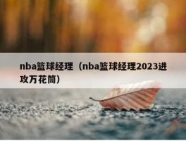 nba篮球经理（nba篮球经理2023进攻万花筒）