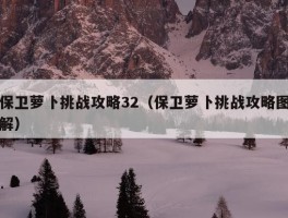 保卫萝卜挑战攻略32（保卫萝卜挑战攻略图解）