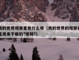 我的世界观察者有什么用（我的世界的观察者是用来干嘛的?视频?）