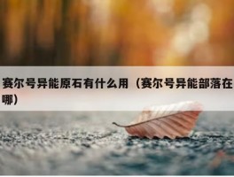 赛尔号异能原石有什么用（赛尔号异能部落在哪）