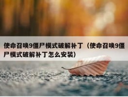 使命召唤9僵尸模式破解补丁（使命召唤9僵尸模式破解补丁怎么安装）