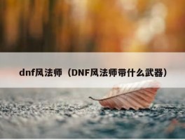 dnf风法师（DNF风法师带什么武器）