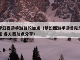 梦幻西游手游普陀加点（梦幻西游手游普陀加点 各方案加点分享）