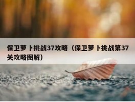 保卫萝卜挑战37攻略（保卫萝卜挑战第37关攻略图解）