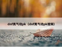 dnf男气功pk（dnf男气功pk视频）