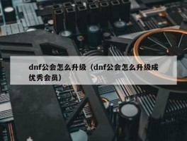 dnf公会怎么升级（dnf公会怎么升级成优秀会员）