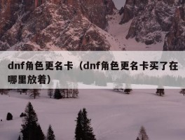 dnf角色更名卡（dnf角色更名卡买了在哪里放着）