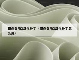 使命召唤2汉化补丁（使命召唤2汉化补丁怎么用）