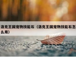 洛克王国宠物技能石（洛克王国宠物技能石怎么用）