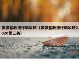 弹弹堂救援行动攻略（弹弹堂救援行动攻略2020第三关）