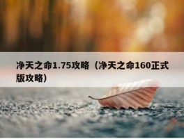 净天之命1.75攻略（净天之命160正式版攻略）