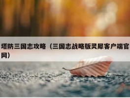 塔防三国志攻略（三国志战略版灵犀客户端官网）