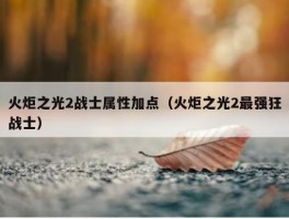 火炬之光2战士属性加点（火炬之光2最强狂战士）