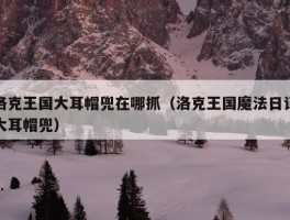 洛克王国大耳帽兜在哪抓（洛克王国魔法日记大耳帽兜）