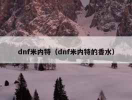 dnf米内特（dnf米内特的香水）