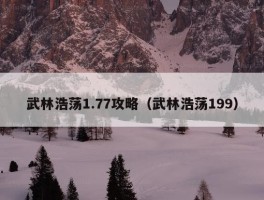 武林浩荡1.77攻略（武林浩荡199）