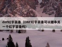 dnf红字装备（DNF红字装备可以继承另一个红字装备吗）