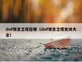 dnf领主之塔在哪（dnf领主之塔史诗大全）