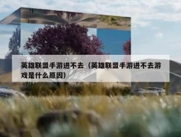 英雄联盟手游进不去（英雄联盟手游进不去游戏是什么原因）