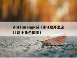 dnfshuangkai（dnf双开怎么让两个角色同步）