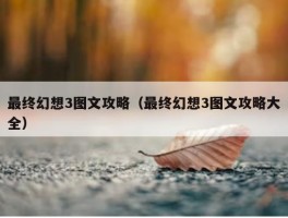 最终幻想3图文攻略（最终幻想3图文攻略大全）