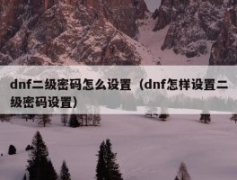 dnf二级密码怎么设置（dnf怎样设置二级密码设置）