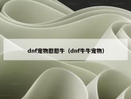 dnf宠物憨憨牛（dnf牛牛宠物）