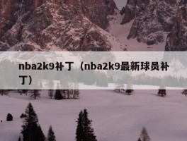 nba2k9补丁（nba2k9最新球员补丁）