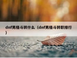 dnf男格斗转什么（dnf男格斗转职排行）