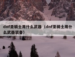 dnf圣骑士用什么武器（dnf圣骑士用什么武器装备）