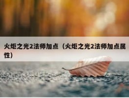 火炬之光2法师加点（火炬之光2法师加点属性）