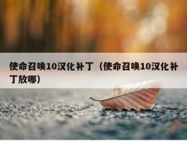 使命召唤10汉化补丁（使命召唤10汉化补丁放哪）