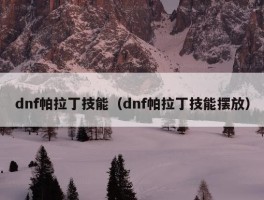 dnf帕拉丁技能（dnf帕拉丁技能摆放）