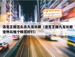 洛克王国怎么去九龙长廊（洛克王国九龙长廊宠物石哪个精灵好打）